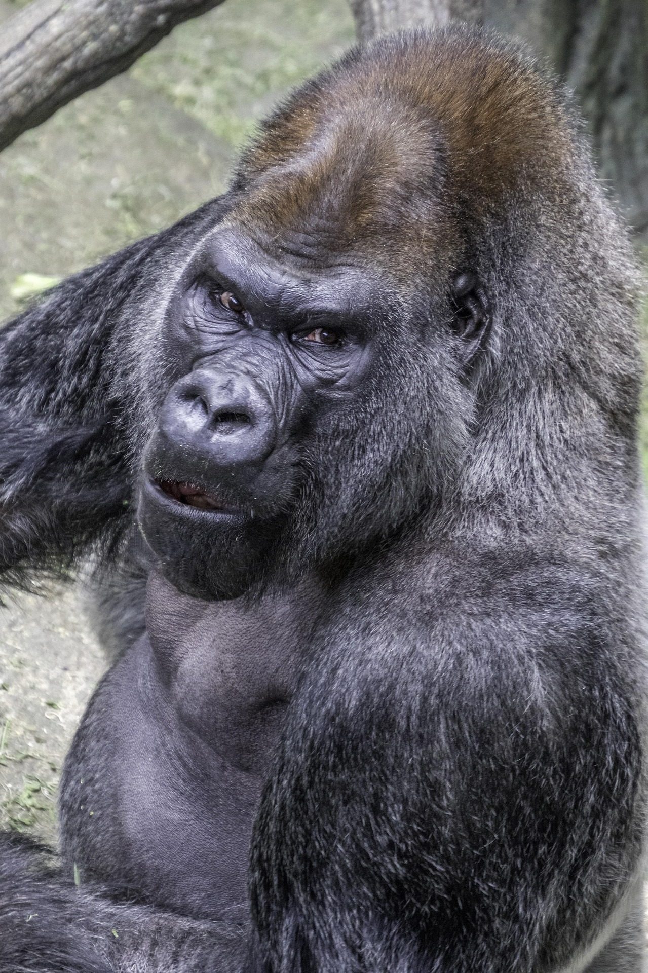 Rwanda